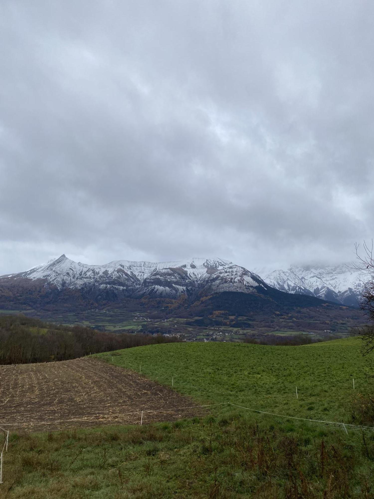 La Rose Des Vents Lägenhet Saint-Bonnet-en-Champsaur Exteriör bild